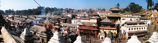 devotees-donating-to-buy-golden-jalahari-for-lord-pashupatinath