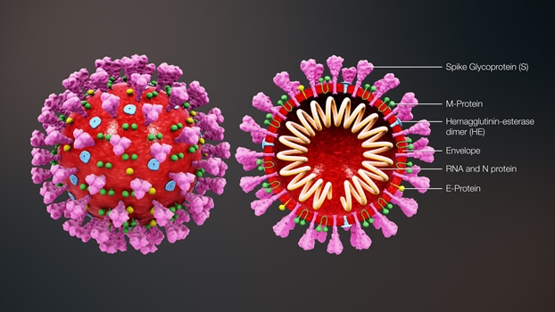 lockdown-fatigue-taking-precedence-over-virus-fears-among-people