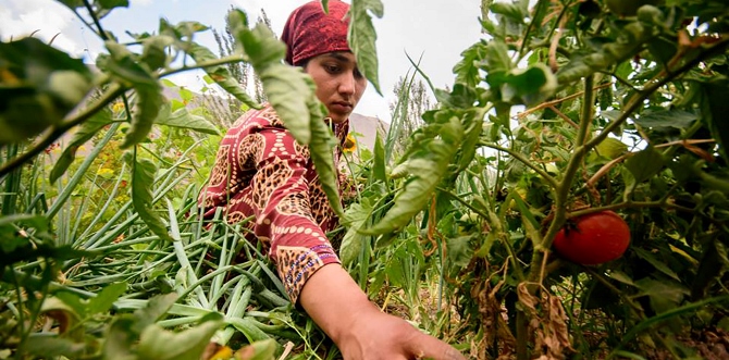 govt-to-change-agriculture-grant-modality-focusing-on-small-farmers