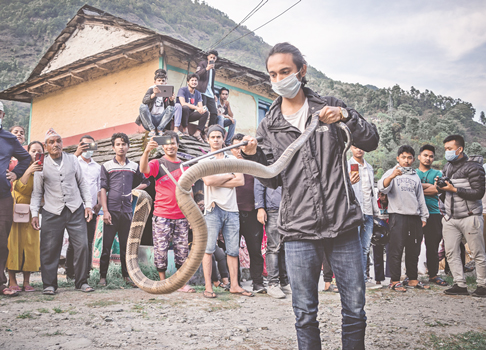 pokhara-youths-rescue-66-snakes-during-lockdown