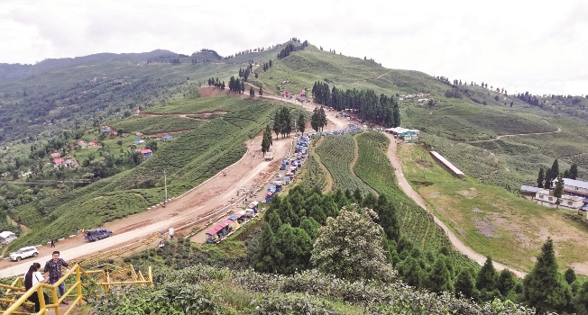 suryodaya-municipality-sets-up-separate-unit-to-promote-tea-production