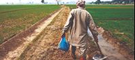 victims-of-crop-failure-given-compensation