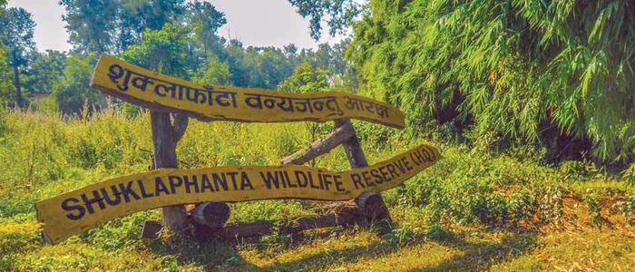 number-of-one-horned-rhinos-up-at-shuklaphanta-national-park