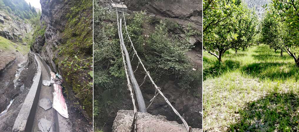 50-year-old-dream-of-irrigation-facility-for-apple-orchards-come-true-farmers-in-marpha-delighted