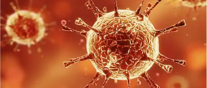 local-government-works-halted-after-its-chair-becomes-infected-with-coronavirus