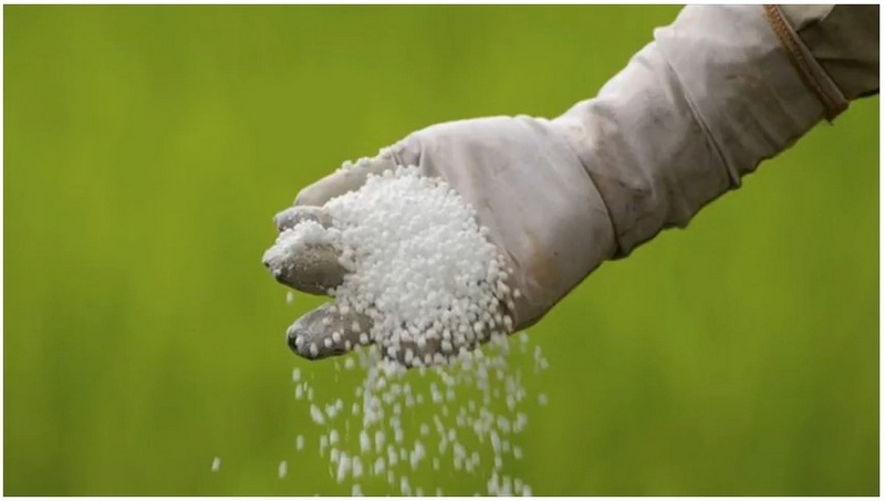 immediate-supplies-of-chemical-fertilizer-from-bangladesh-unlikely