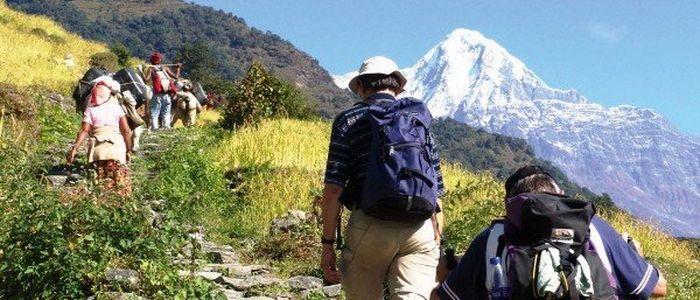 pcr-report-mandatory-for-mardi-and-machhapuchhre-trekking