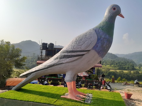 pigeon-statue-in-parewa-danda-attracts-visitors