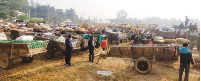 farmers-throng-fmtc-depots-to-sell-paddy