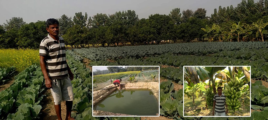 ncp-activist-in-commercial-vegetable-farming-makes-net-saving-of-rs-5-lakh-a-year