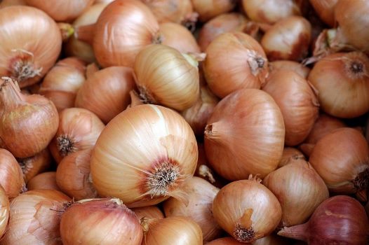 india-lifts-ban-on-onion-exports