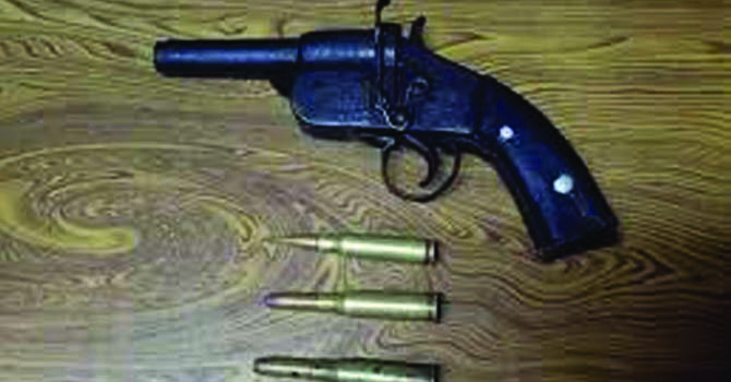 one-arrested-with-pistol-in-sarlahi