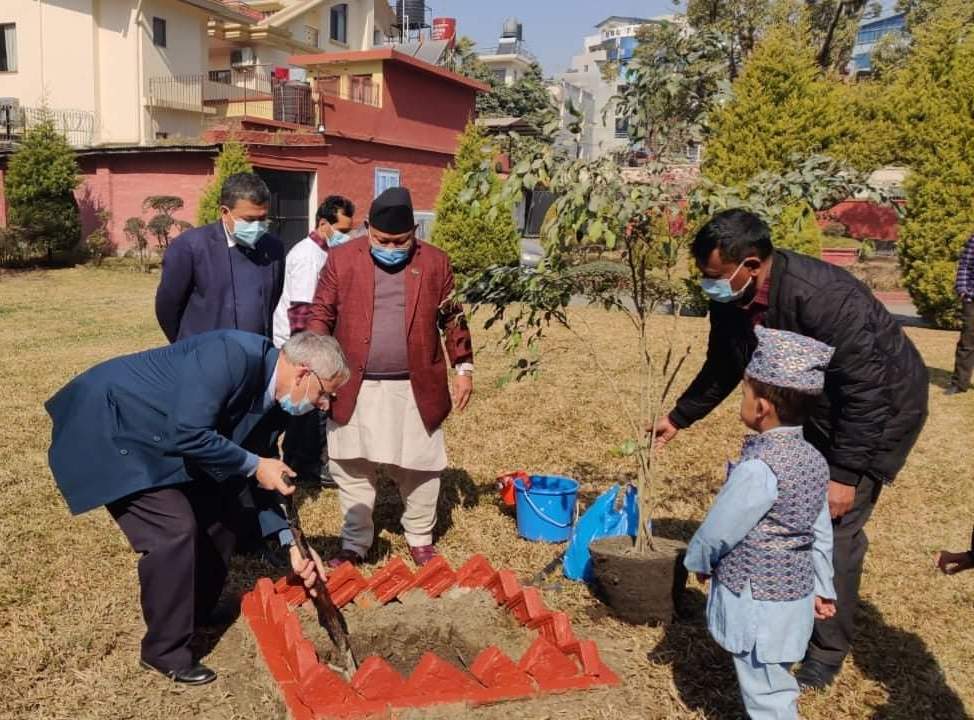 embassy-of-israel-marks-tu-bishvat-tree-planting-day