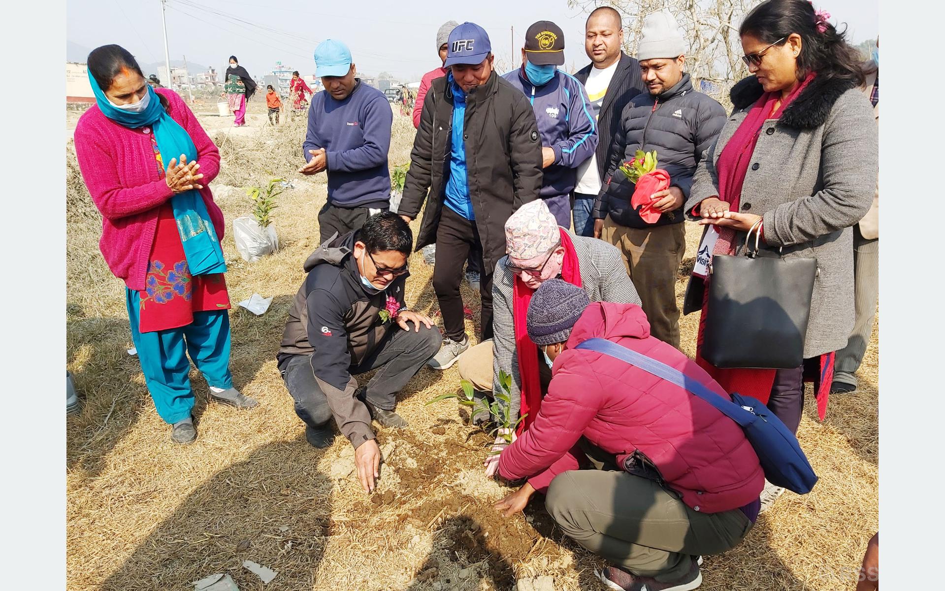 saplings-planted-at-madan-ashrit-memorial-park