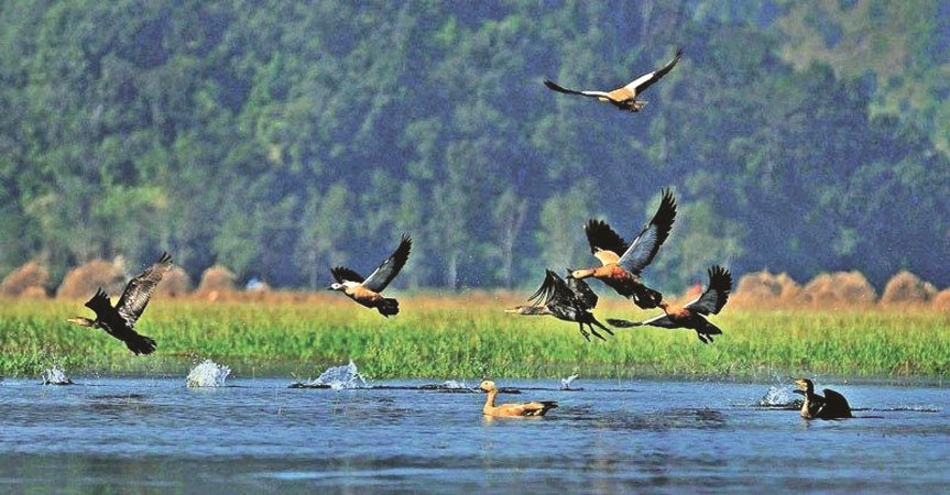 world-wetlands-day-being-observed-with-the-theme-water-wetland-and-life