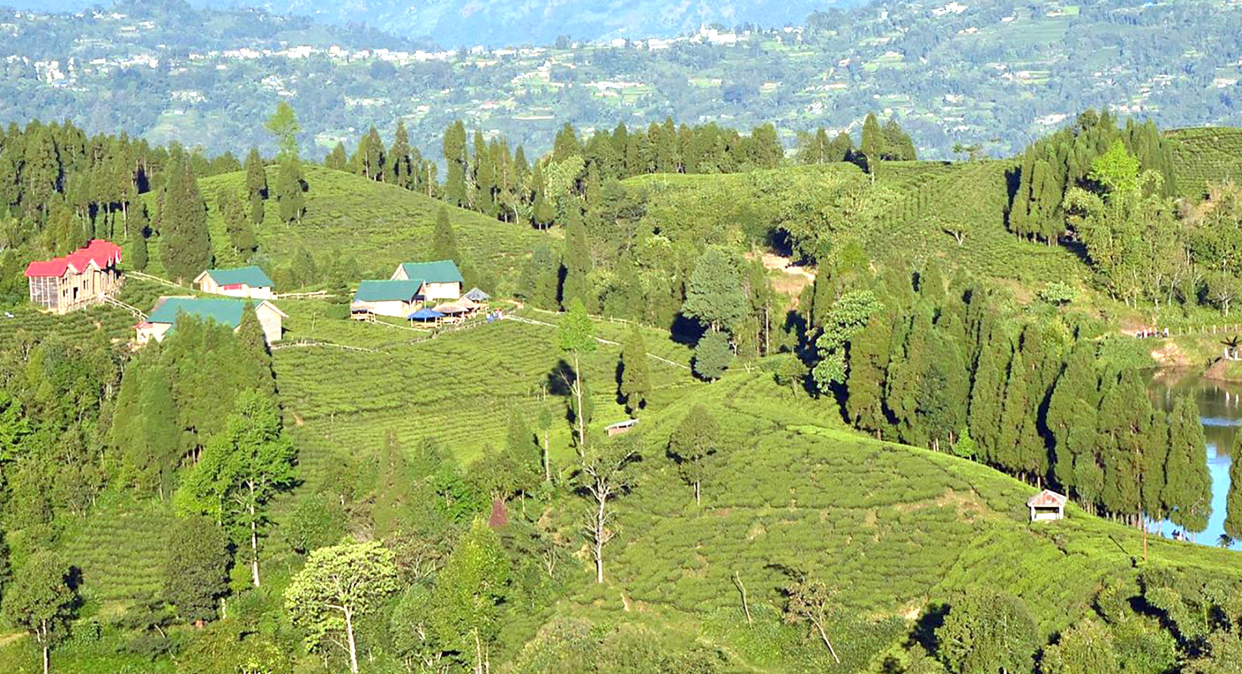 project-worth-150-million-for-promotion-of-nepali-tea