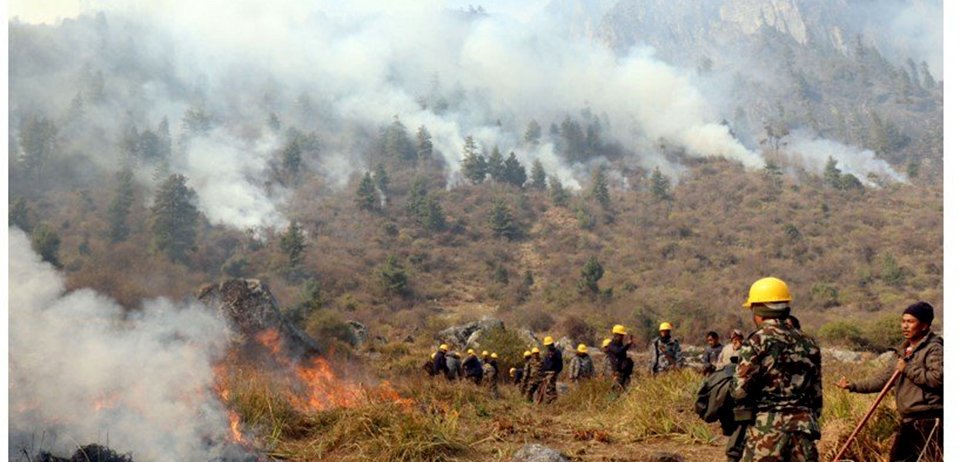 with-336-incidents-of-forest-fire-this-january-recorded-greatest-number-of-wildfires-in-a-decade-in-nepal