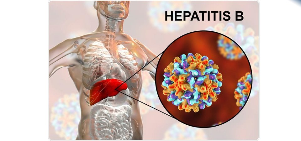 hepatitis-b-reaches-to-an-alarming-level-in-dolpa