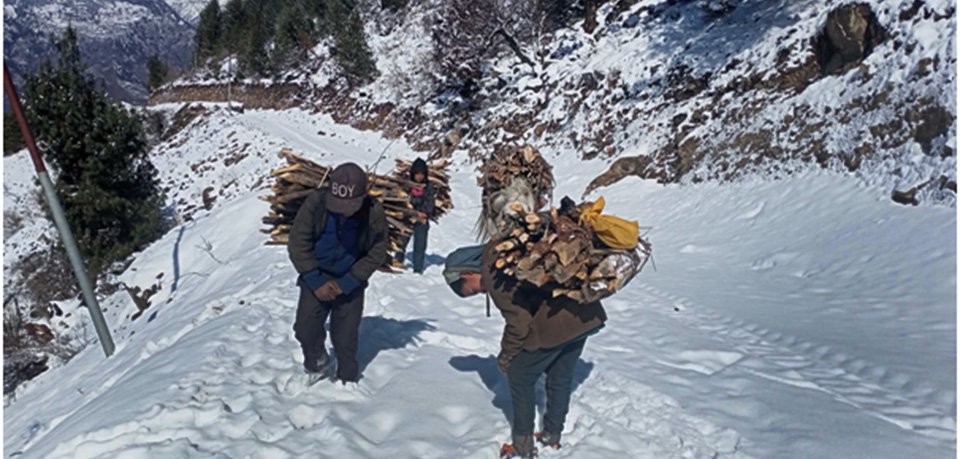 humla-children-selling-firewood-amidst-snow-to-supplement-family-income