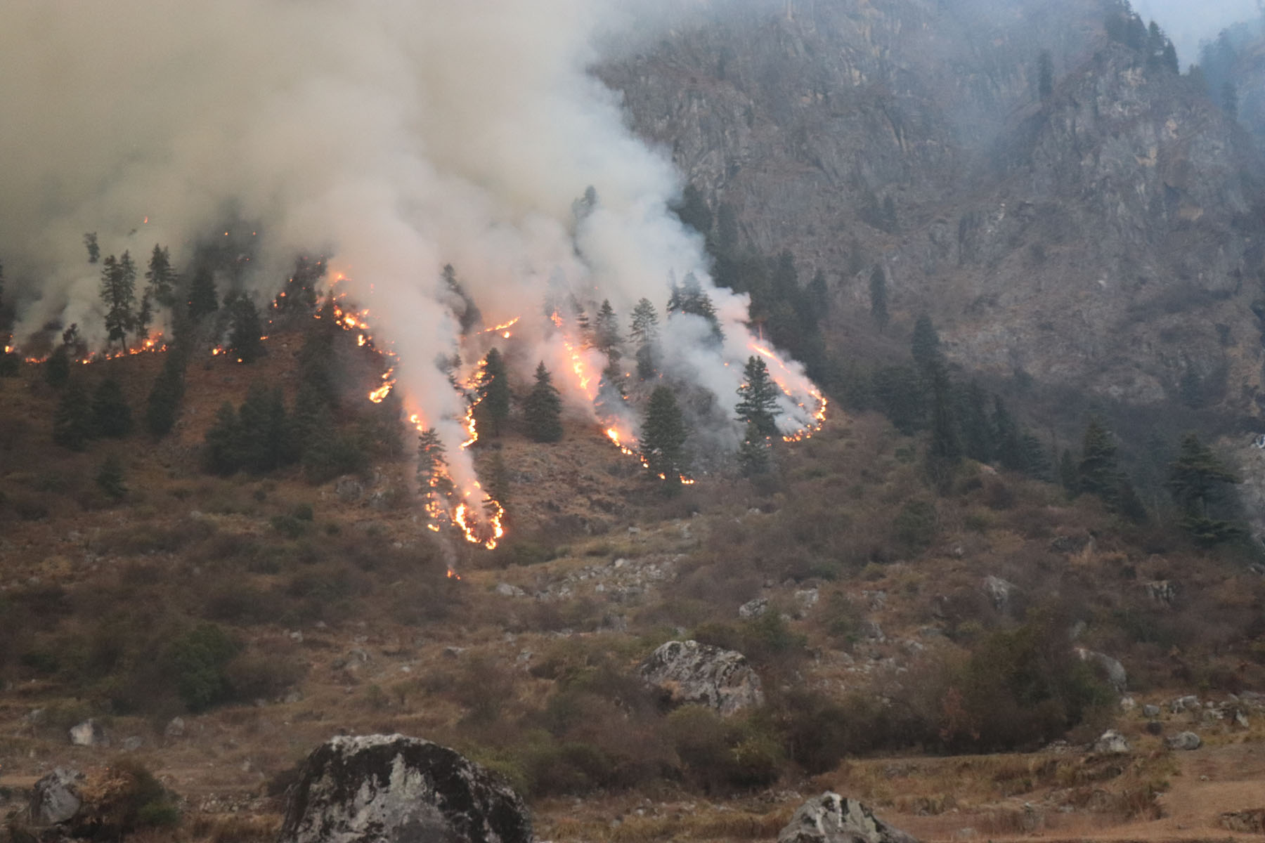 forest-fire-continues-in-manang