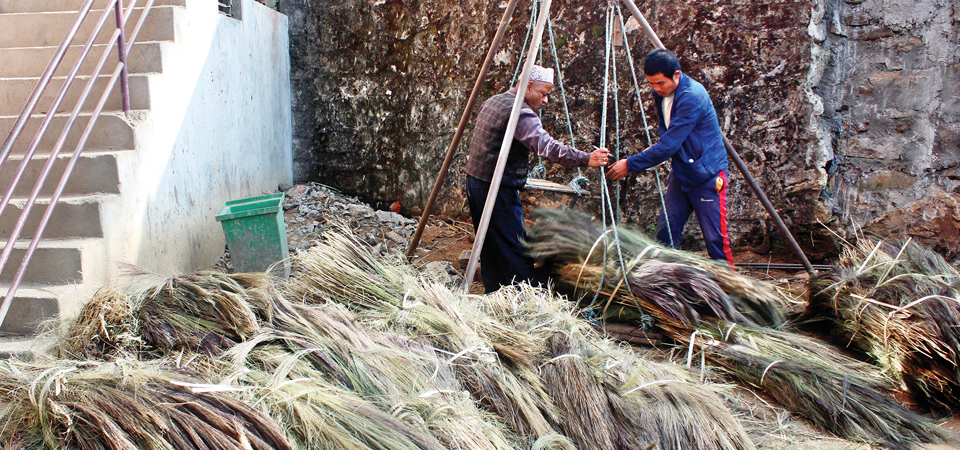 high-broom-price-delights-ilam-farmers