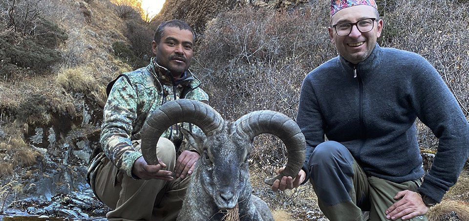 hunting-costly-for-nepali-tourists-rs-70-80-lakhs-for-hunting-a-blue-sheep