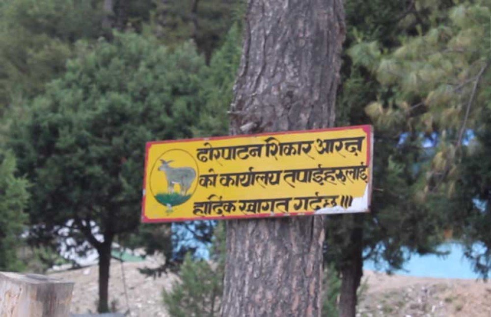 dhorpatan-hunting-reserves-185-hectares-land-encroached