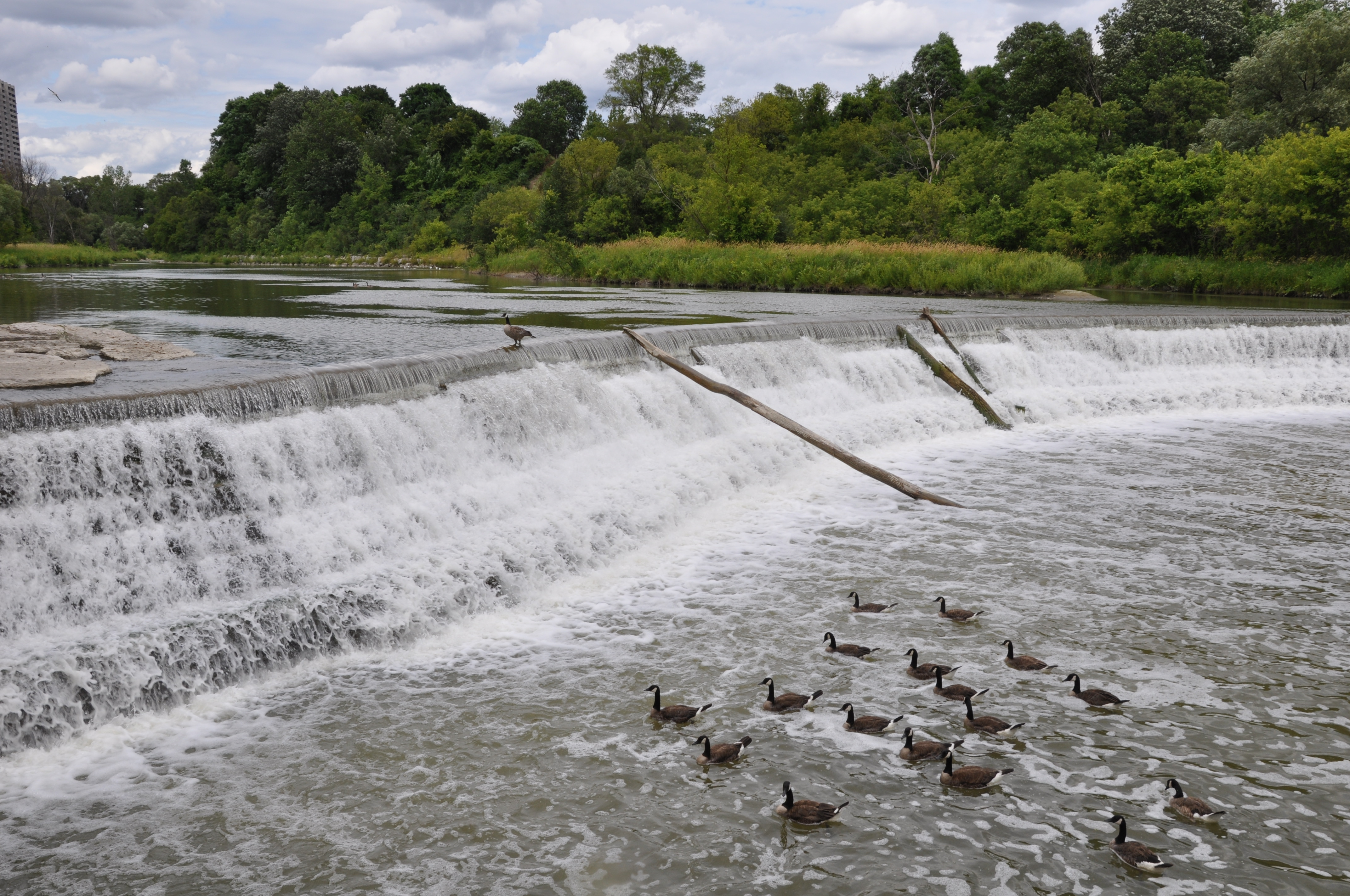 flood-victims-demand-river-flow-control