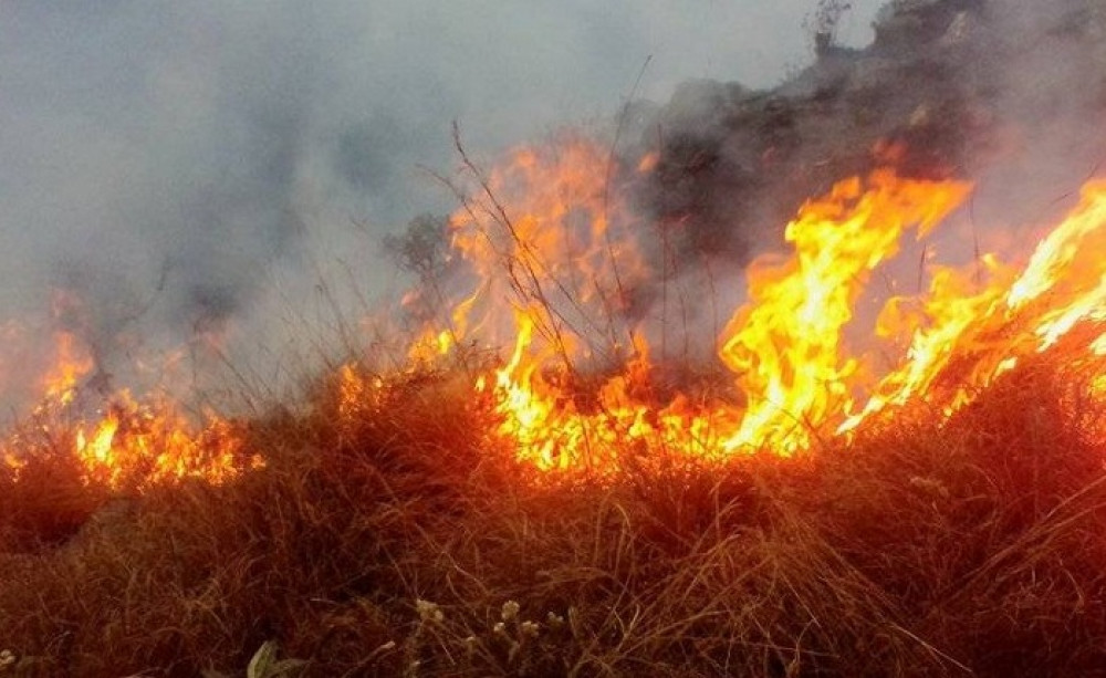 wild-fires-reported-in-60-forests-in-kalikot