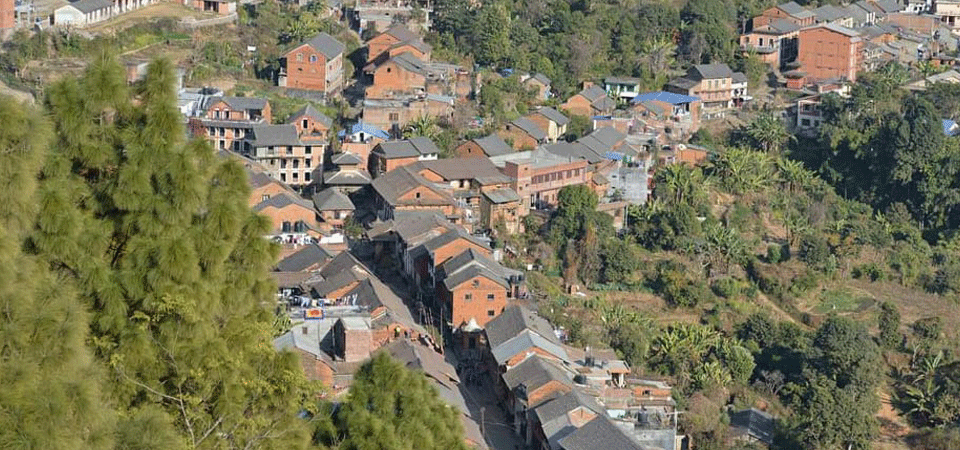 bandipur-hotels-packed-with-domestic-tourists