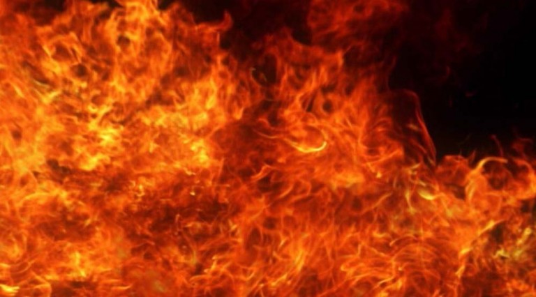 fire-at-goat-farm-causes-loss-of-rs-6-million