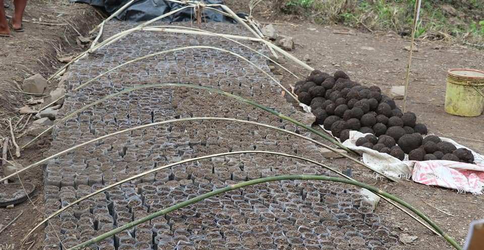 model-farm-in-devghat-for-organic-agriculture