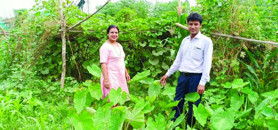 couple-switches-to-alternative-profession-in-lockdown