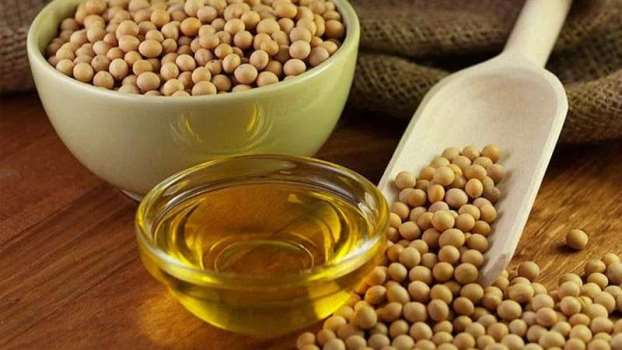 exports-to-india-increased-by-235-per-cent-in-last-nine-months