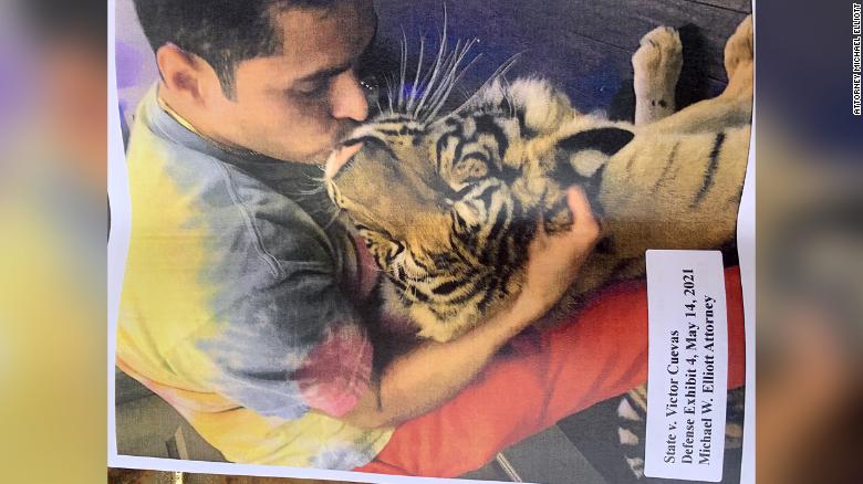 man-last-seen-with-missing-houston-tiger-jailed-on-unrelated-charge