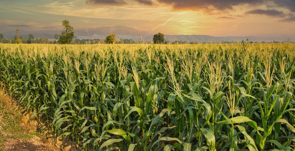 stake-of-agriculture-declining-in-gdp