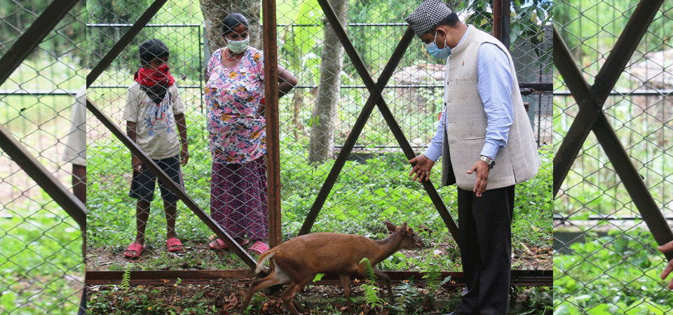 rescue-centre-comes-to-aid-of-wildlife