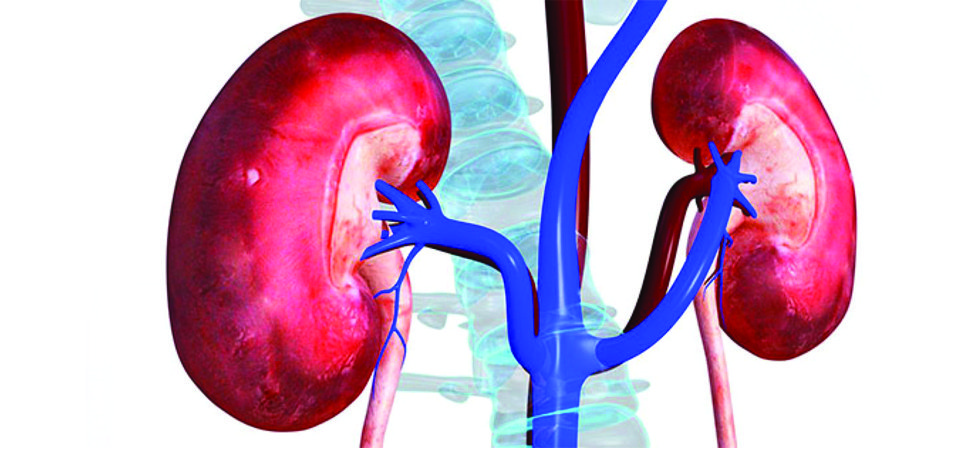 blood-shortage-hit-hard-routine-dialysis