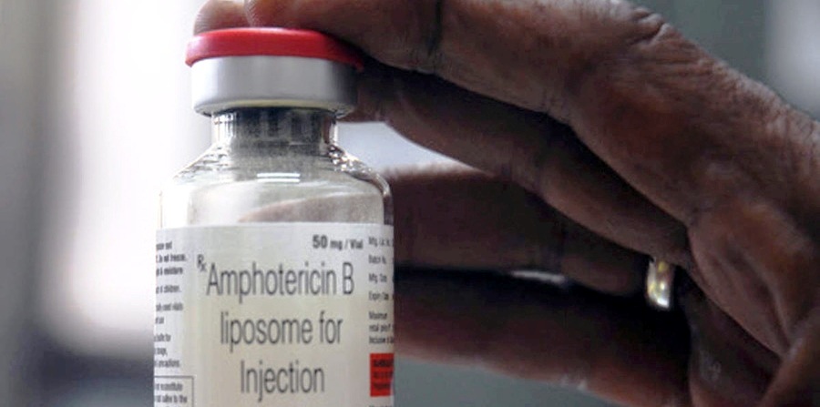 black-funguss-medicine-arriving-in-nepal-from-bangladesh-tomorrow