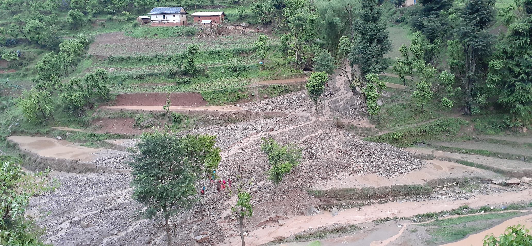 floods-wash-away-over-100-rapani-of-paddy-field-in-salyan