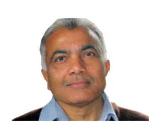 essence-of-native-civil-society