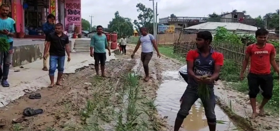 rice-plantation-for-protest-in-mahottari