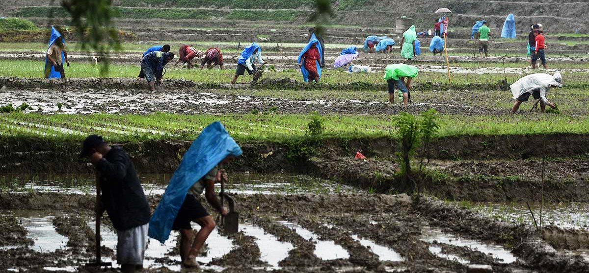 prosperity-poverty-alleviation-impossible-without-modernisation-of-agriculture-agriculture-experts