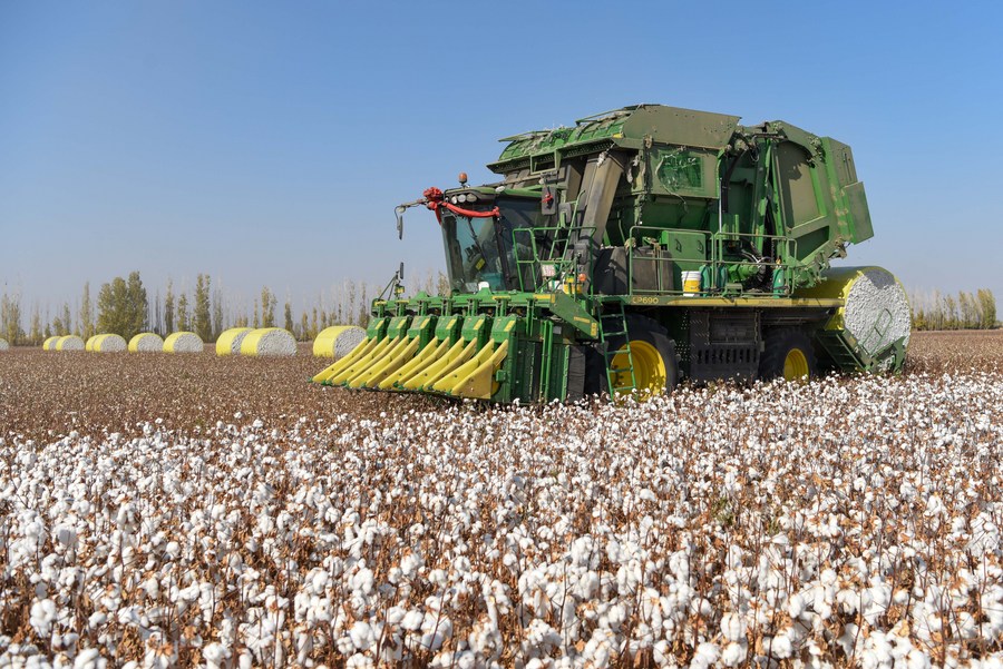 chinas-xinjiang-sees-foreign-trade-surge-in-may