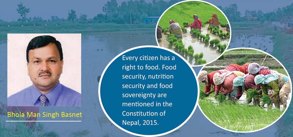 rice-production-for-food-security