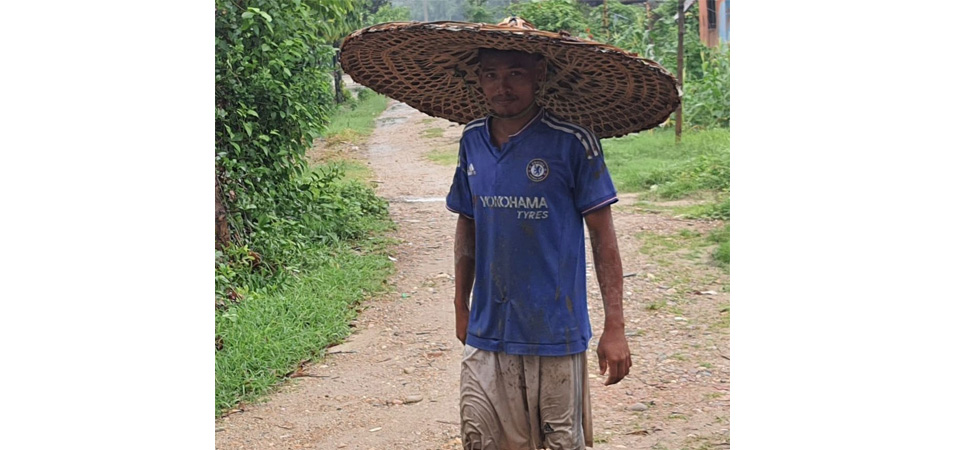 parasols-of-terai-disappearing-slowly