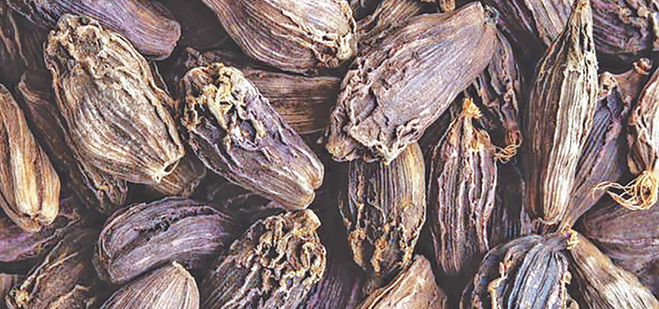export-of-cardamom-doubles