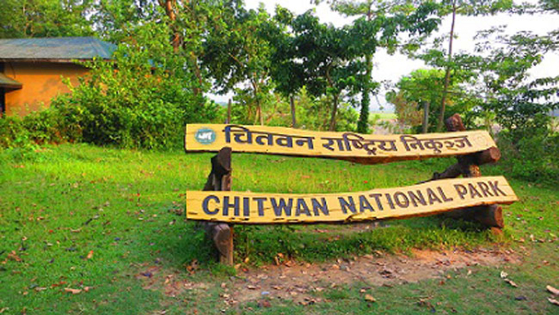 male-rhino-dies-in-chitwan-national-park