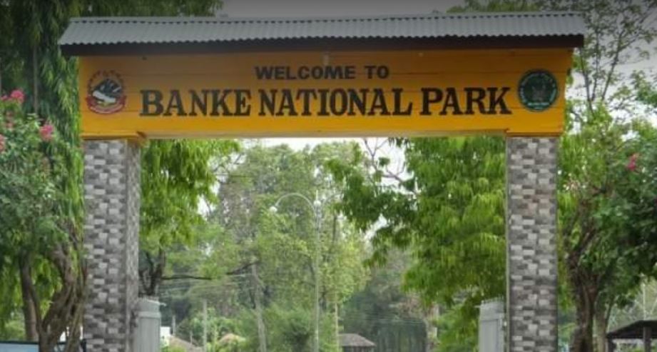 speeding-vehicles-kill-358-wild-animals-in-banke-national-park