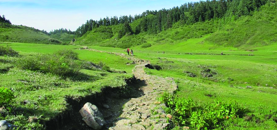 khaptad-national-park-receiving-encouraging-number-of-tourists-amid-covid-19